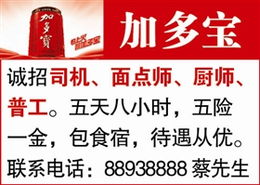 石獅日報數字報 分類廣告的數字化設計新視野